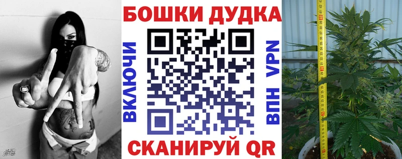 Бошки Шишки AK-47  закладка  Ногинск 